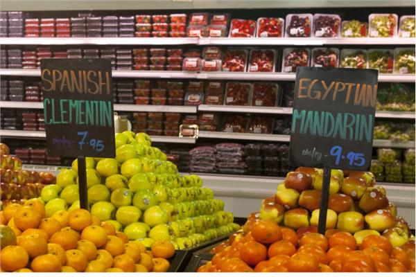  الصادرات الزراعية المصرية