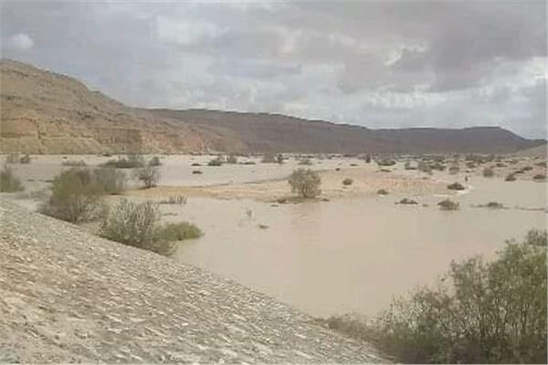 مشروعات زراعية وتربية أسماك بوسط سيناء