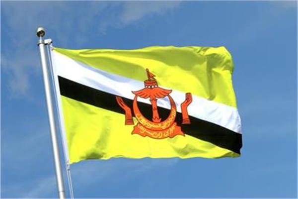 علم سلطنة بروناي