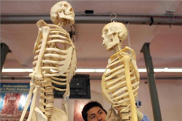 دراسة حديثة تستخدم عظام الإنسان في محاربة الشيخوخة