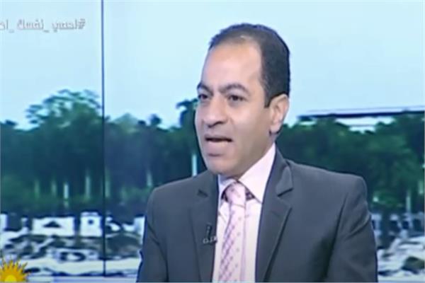 الدكتور هشام إبراهيم، أستاذ التمويل والاستثمار بجامعة القاهرة