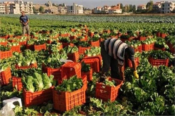 صادرات مصر الزراعية