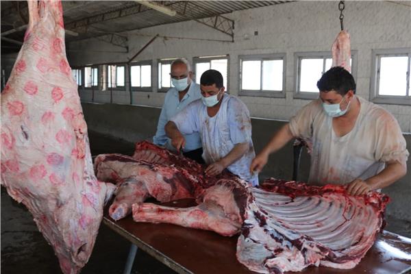 مبادرة جامعة المنوفية لبيع اللحوم بأسعار مخفضة 