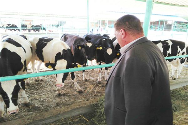 «الزراعة» زيارات مفاجئة لمتابعة عمل مزراع  الثروة الحيوانية