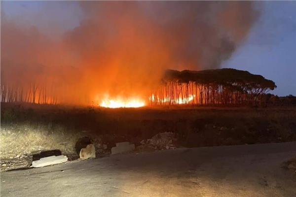 حريق هائل يلتهم الأشجار في لبنان