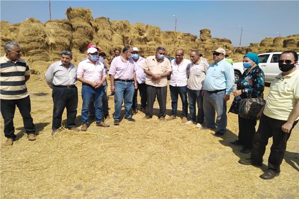 مسئولو «الزراعة والبيئة» يتابعون أعمال منظومة جمع وتدوير قش الأرز بكفر الشيخ