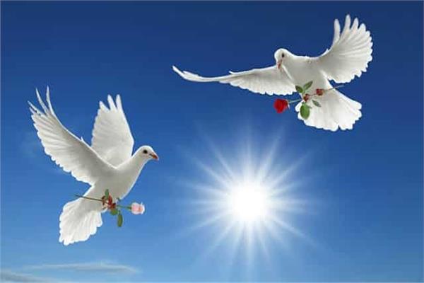  « اليوم العالمي للسلام »