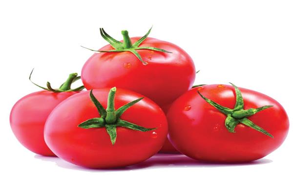 الطماطم ليست للأكل فقط .. فهي مفتاح الحصول على بشرة صحية