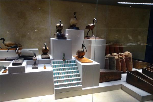متحف شرم الشيخ 