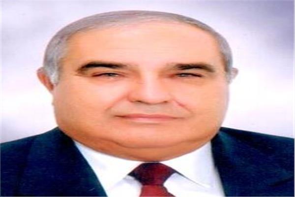 المستشار سعيد مرعي عمرو رئيس المحكمة