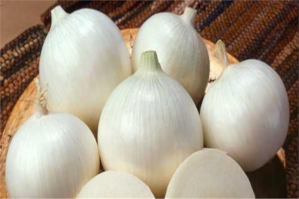 يكافح الالتهابات ومنوم طبيعي .. 7 فوائد لـ«البصل الأبيض»  