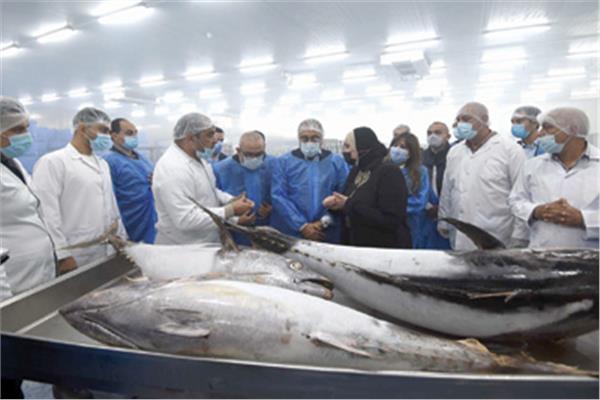 د.مصطفى مدبولى رئيس الوزراء يتابع مراحل تصنيع الأسماك ببورسعيد 