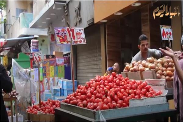  سعر الطماطم في الأسواق الشعبية