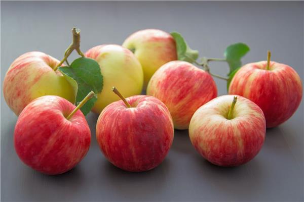 7 فوائد سحرية للتفاح.. أهمها يحميك من السرطان