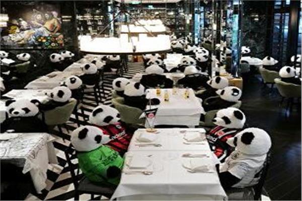 الباندا بديل الزبائن بمطعم بألمانيا 