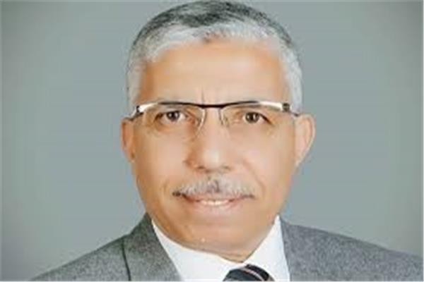 اللواء محمد الغباشي، مساعد رئيس حزب حماة الوطن