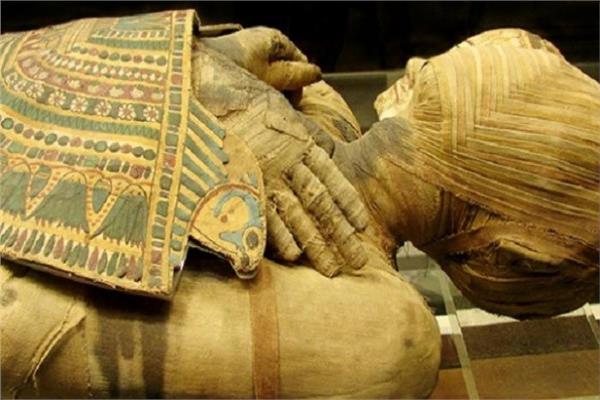 حقيقة إصابة المصريين القدماء بالسرطان .. وقصة سمكة برأس بقرة