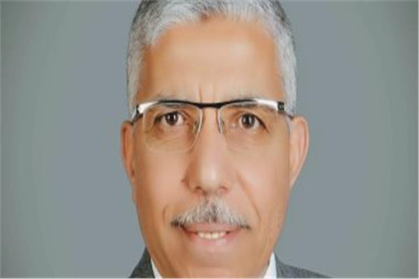 اللواء محمد الغباشي، مساعد رئيس حزب حماة الوطن