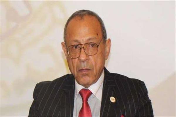 رئيس الحركة الوطنية المصرية