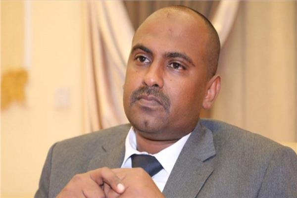 عضو مجلس السيادة السوداني محمد الفكي سليمان