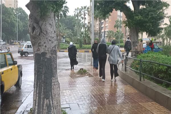 أمطار غزيرة ورياح تجتاح الإسكندرية