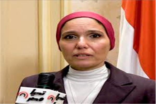  النائبة شيماء حلاوة، عضو لجنة الإعلام بمجلس النواب