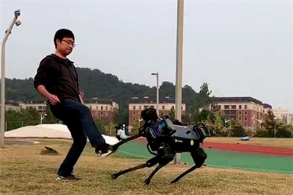 صورة «كلب روبوت».. يخضع للتدريب ويعمل بالذكاء الاصطناعي| فيديو