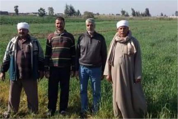 الزراعة تنظم  يوم مدرسة حقلية  لمحصول القمح  ببورسعيد