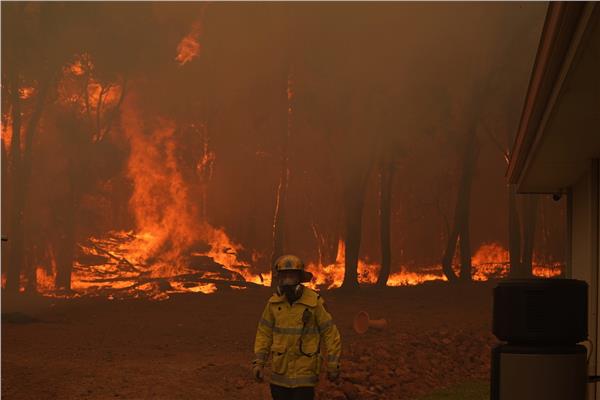 صروة من رويترز عن الحرائق