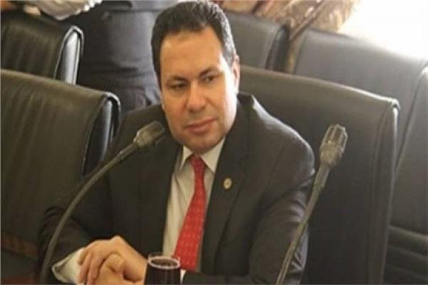 النائب هشام الحصرى، رئيس لجنة الزراعة بمجلس النواب