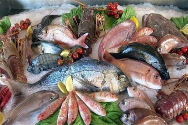 أسعار الأسماك في سوق العبور- صورة أرشيفية 