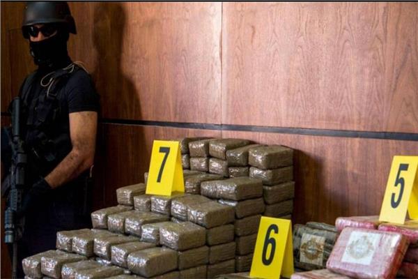  السلطات المغربية تضبط  715 كيلوجراما من مخدر الحشيش