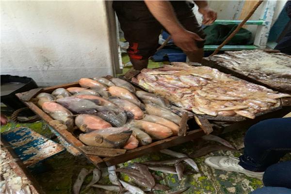 إعدام 10 أطنان أسماك فاسدة