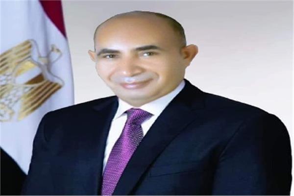 المهندس إسماعيل رضوان - وكيل وزارة الزراعة