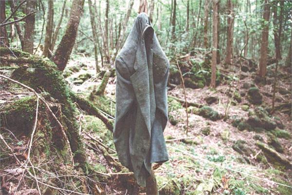 «غابة الانتحار» باليابان الأكثر غموضا فى العالم