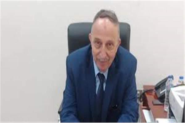  محمد هشام الحموي، مستشار وزير المالية