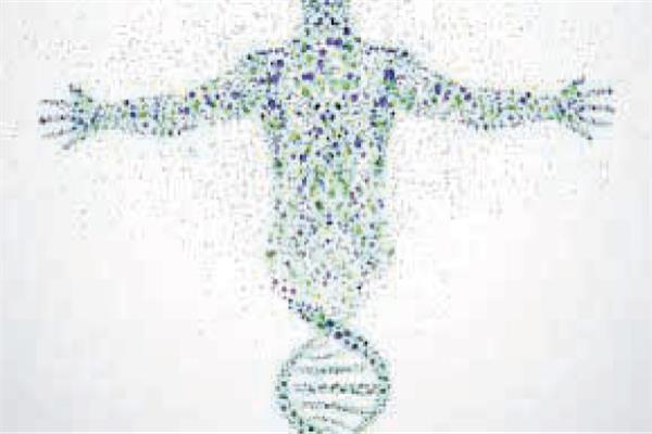 الجينوم المصري نقلة نوعية للاهتمام بصحة المصريين