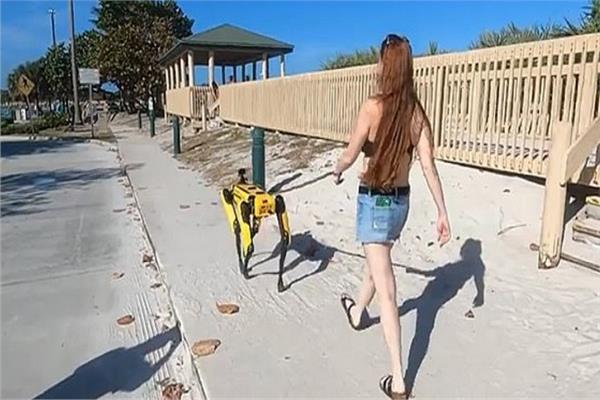 امرأة تتنزه برفقة «كلب روبوت»