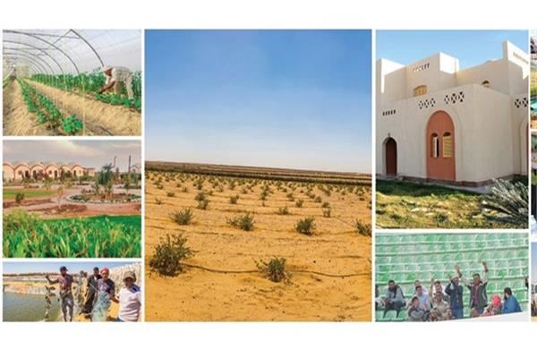 المشروع القومي لتطوير الريف المصري
