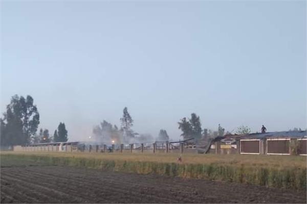 حريق هائل في مزرعة للدواجن