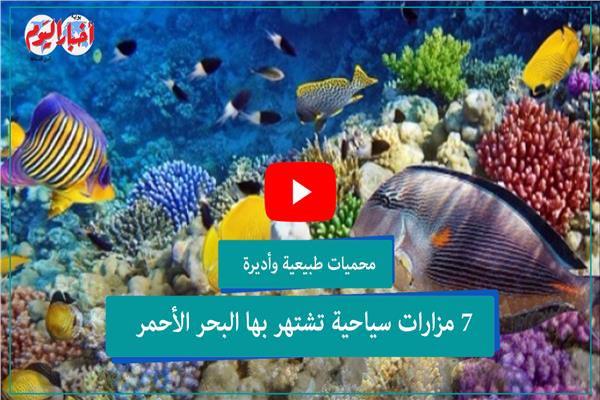 فيديوجراف| محميات طبيعية وأديرة.. 7 مزارات سياحية تشتهر بها البحر الأحمر
