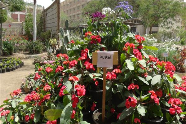 افتتاح معرض الزهور بالمشتل التعليمي بـ "زراعة المنيا" تحت عنوان "لوحة من قلب الربيع"