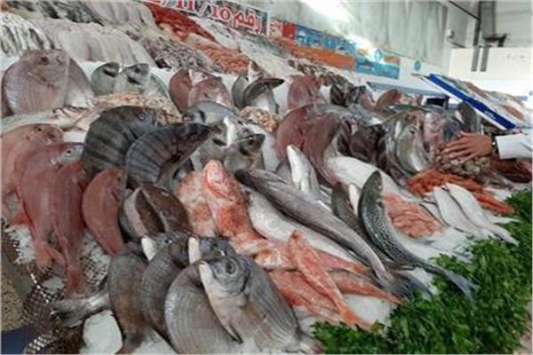 الأسماك في سوق العبور ... صورة أرشيفية 
