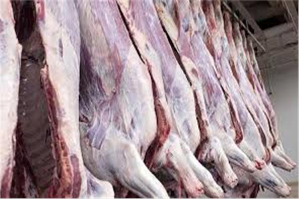  أسعار اللحوم في الأسواق اليوم... سعر الكيلو البتلو يبدأ  ٩٠ جنيه 