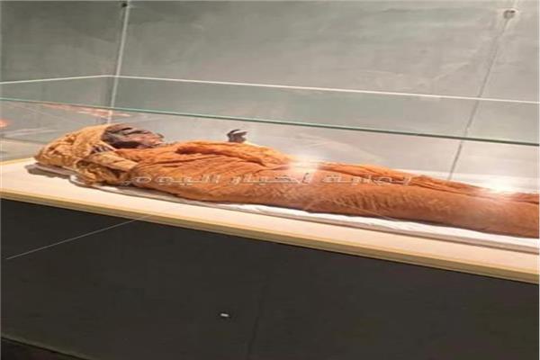 المومياوات الملكية في متحف للحضارة 