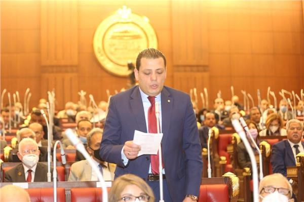 النائب باهر أمين وكيل اللجنة الدستورية والتشريعية بمجلس الشيوخ