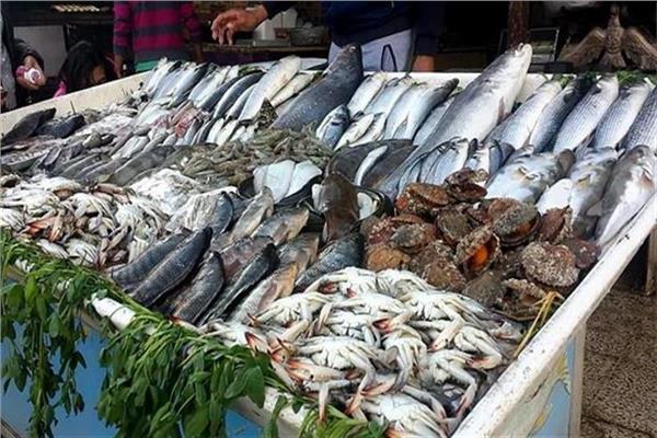  أسعار الأسماك في سوق العبور