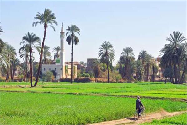 صورة أرشيفية - الريف المصري
