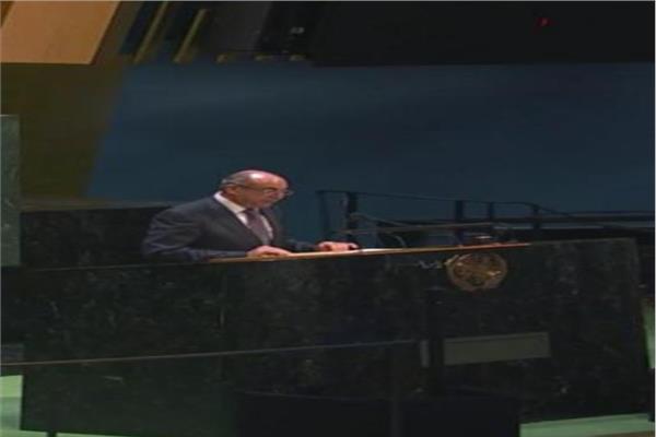 السفير محمد إدريس مندوب مصر الدائم لدى الأمم المتحدة