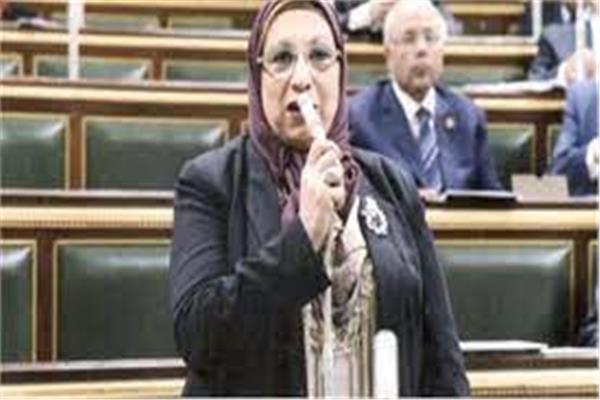  النائبة ايناس عبد الحليم، عضو مجلس النواب